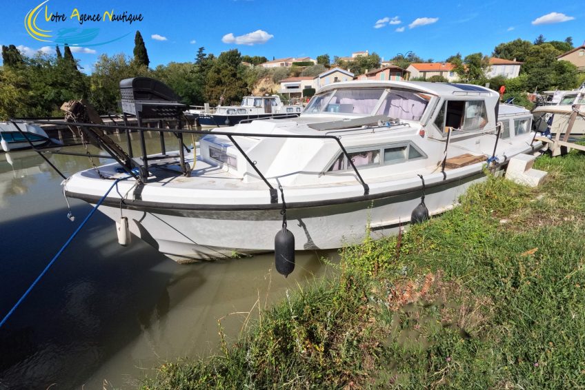 Vedette anglaise Aquafibre Broom